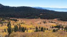Tahoe Meadows