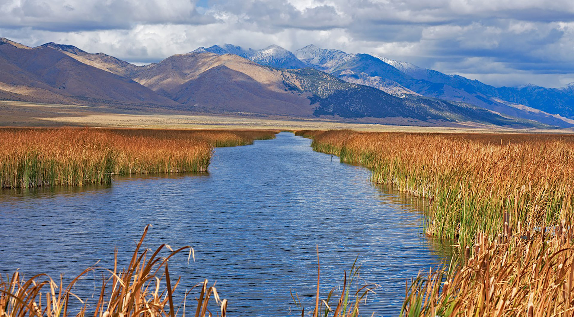 Ruby-Lake-National-Wildlife