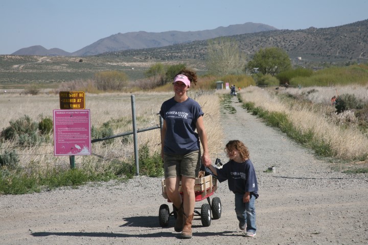 Volunteers Help Spruce up Region