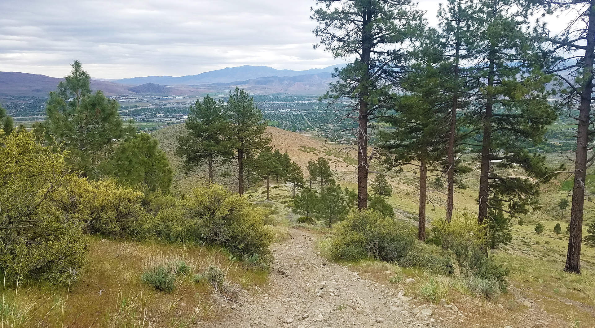 Ash Canyon Trail