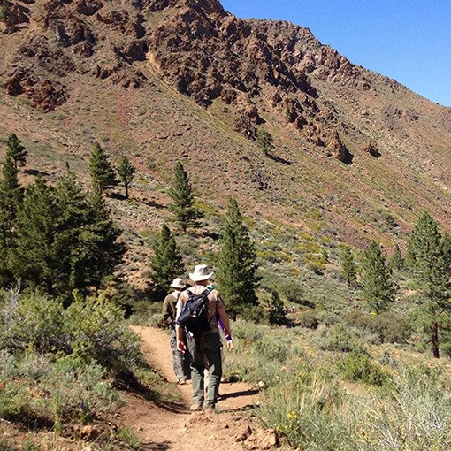 Hunter creek trail