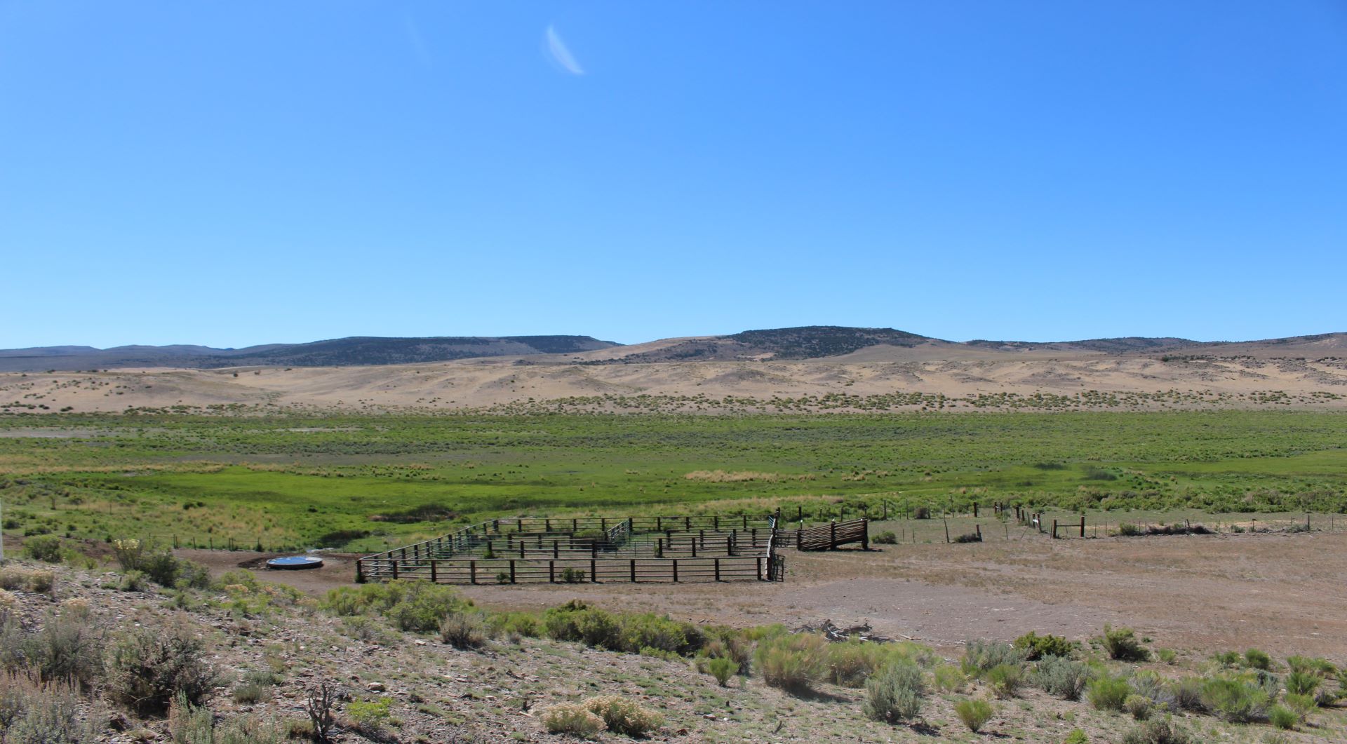 Big Springs Meadow