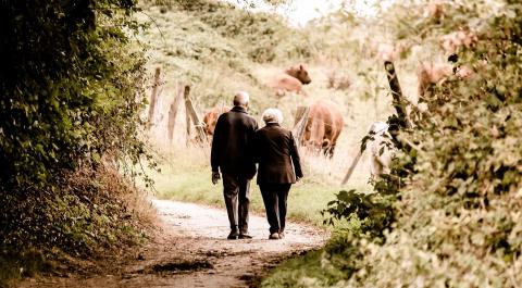 Senior couple walking on a farm toward horses 